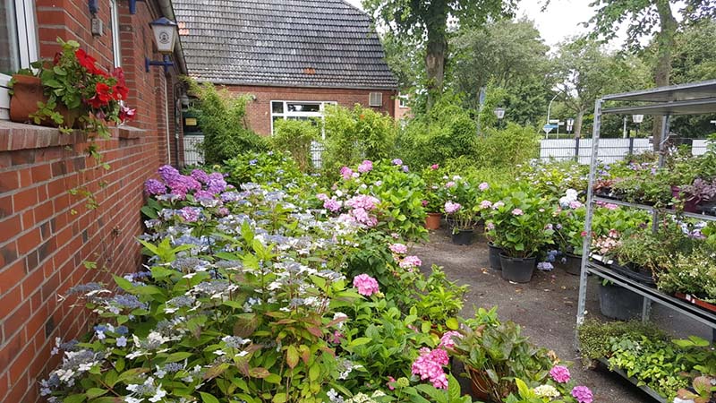 Gärnerei Peter Hommel Gartenbau